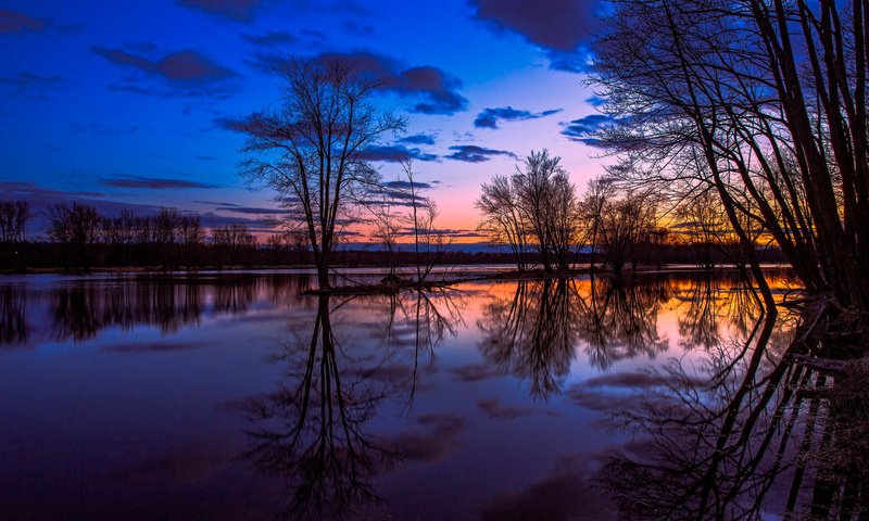 Обои облака, деревья, вечер, озеро, отражение, горизонт, clouds, trees, the evening, lake, reflection, horizon разрешение 1920x1200 Загрузить