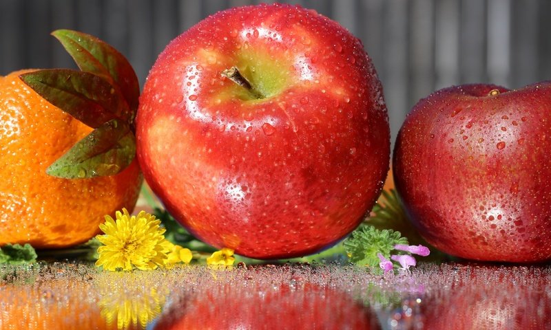 Обои цветы, отражение, капли, фрукты, апельсин, яблоко, flowers, reflection, drops, fruit, orange, apple разрешение 2048x1278 Загрузить