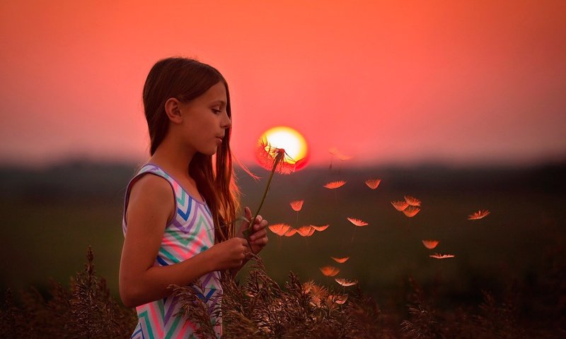 Обои солнце, закат, дети, девочка, волосы, лицо, одуванчик, the sun, sunset, children, girl, hair, face, dandelion разрешение 2048x1463 Загрузить