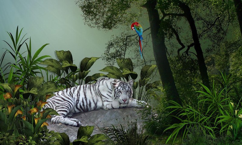 Обои тигр, зелень, белый, тропики, попугай, ара, tiger, greens, white, tropics, parrot, ara разрешение 2560x1440 Загрузить