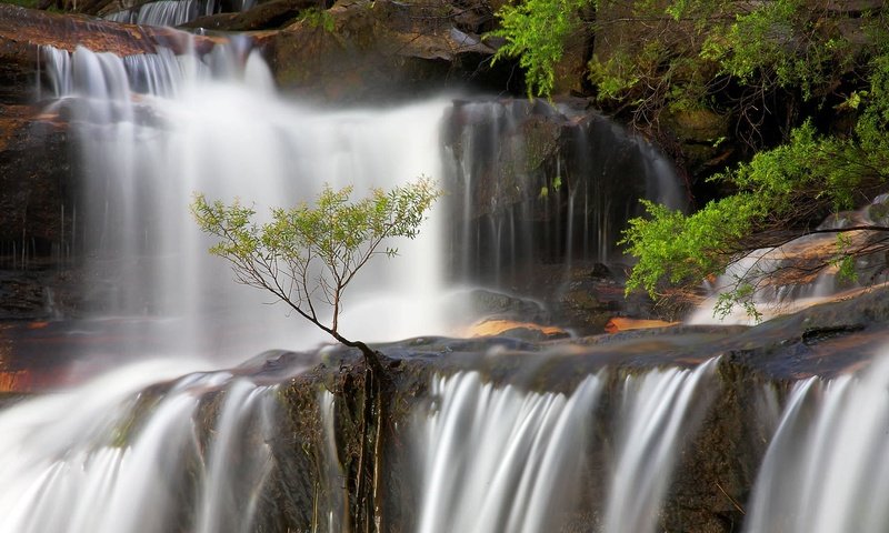 Обои скалы, водопад, поток, австралия, новый южный уэльс, rocks, waterfall, stream, australia, new south wales разрешение 1920x1080 Загрузить