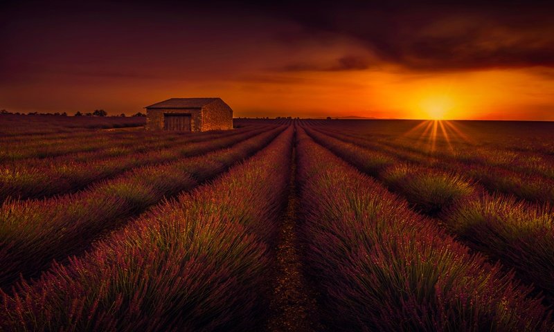 Обои закат, поле, лаванда, горизонт, домик, sunset, field, lavender, horizon, house разрешение 3886x2365 Загрузить