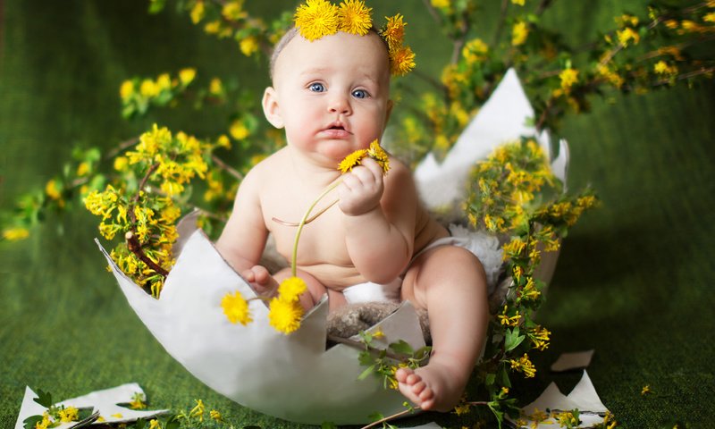 Обои цветы, ребенок, одуванчики, малыш, венок, скорлупа, яйцо, flowers, child, dandelions, baby, wreath, shell, egg разрешение 4182x3000 Загрузить