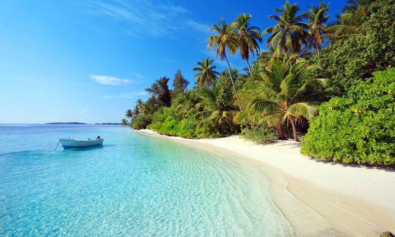 Обои море, пляж, лодка, пальмы, отдых, остров, тропики, мальдивы, sea, beach, boat, palm trees, stay, island, tropics, the maldives разрешение 5448x3632 Загрузить