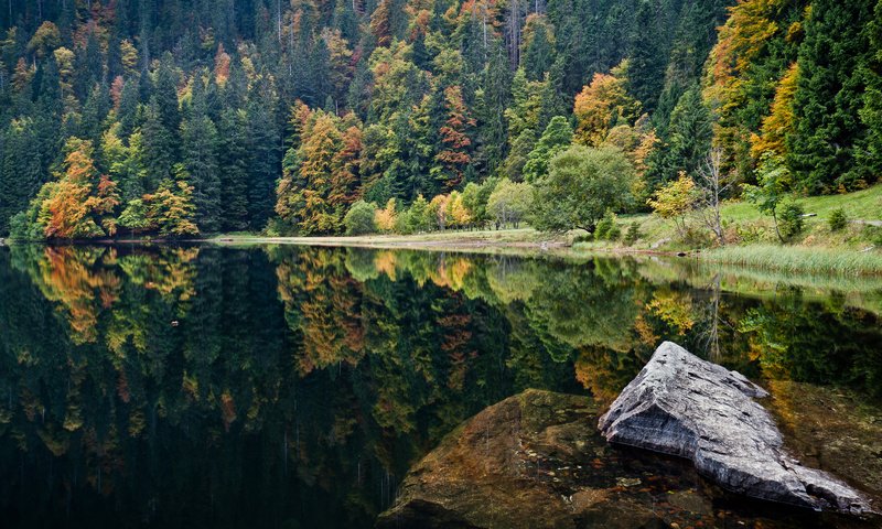 Обои озеро, природа, камни, отражение, пейзаж, леса, lake, nature, stones, reflection, landscape, forest разрешение 4285x2411 Загрузить