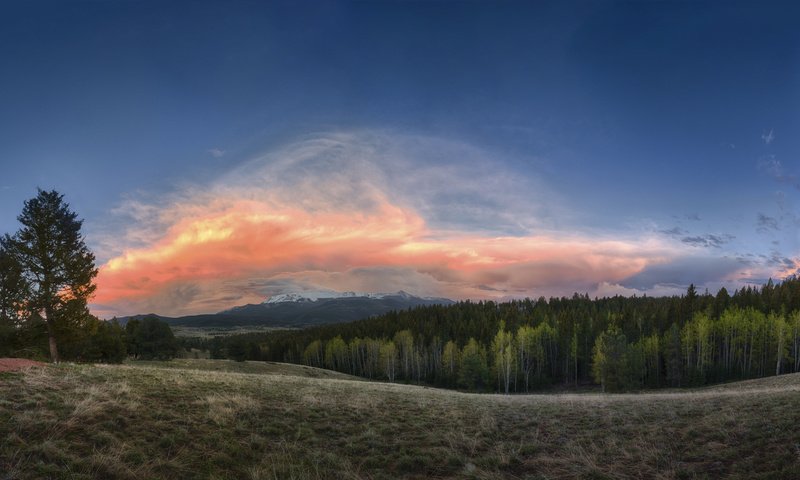 Обои небо, облака, деревья, природа, лес, пейзаж, the sky, clouds, trees, nature, forest, landscape разрешение 7680x4320 Загрузить