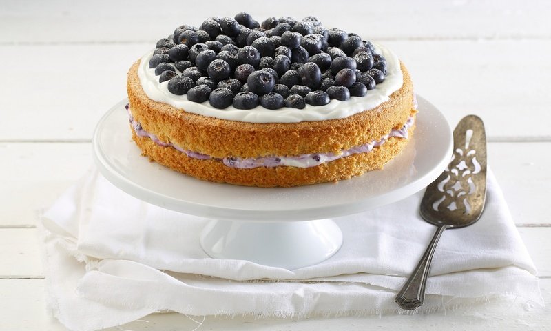 Обои ягоды, черника, сладкое, торт, десерт, крем, berries, blueberries, sweet, cake, dessert, cream разрешение 2048x1365 Загрузить