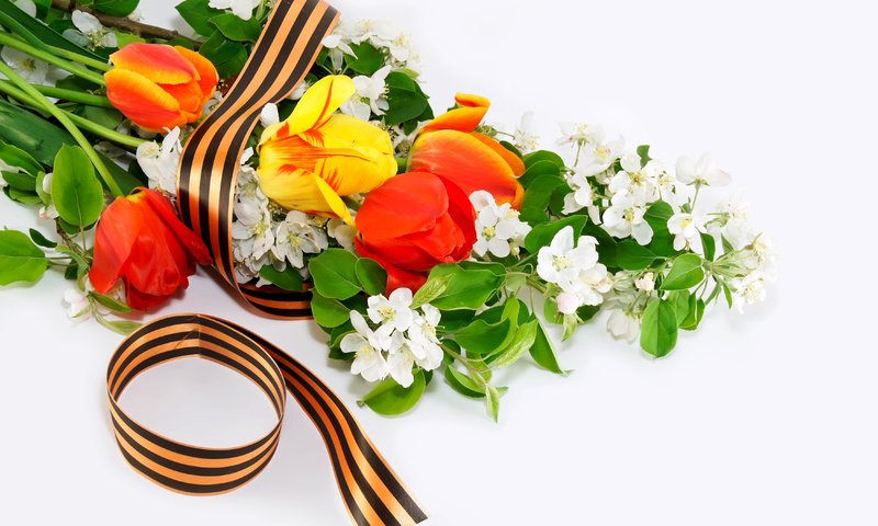 Обои цветы, день победы, 9 мая, георгиевская ленточка, flowers, victory day, may 9, george ribbon разрешение 4500x3000 Загрузить