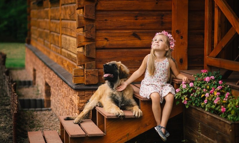 Обои цветы, собака, девочка, дом, ребенок, пес, крыльцо, flowers, dog, girl, house, child, porch разрешение 2048x1367 Загрузить