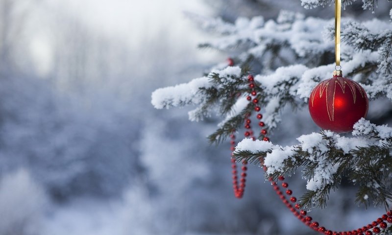 Обои снег, новый год, елка, лес, зима, шар, бусы, snow, new year, tree, forest, winter, ball, beads разрешение 1920x1080 Загрузить
