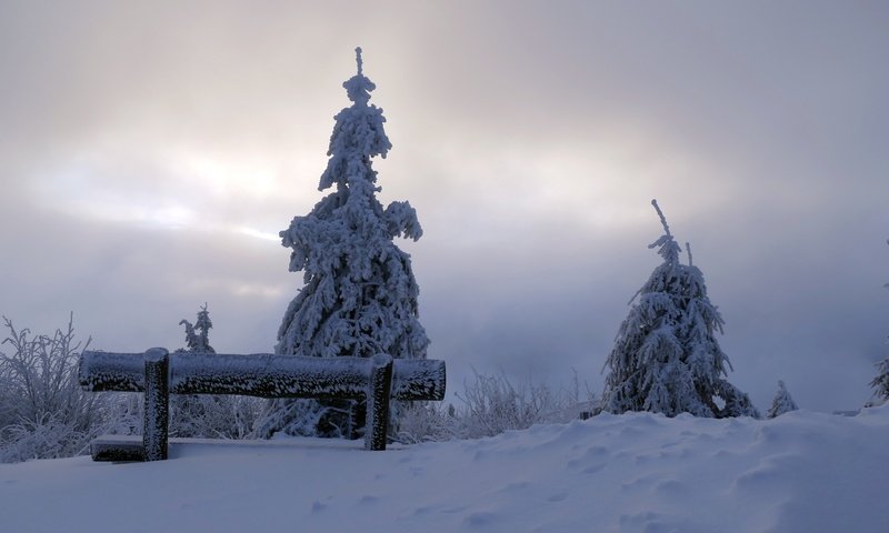 Обои снег, дерево, зима, утро, скамья, snow, tree, winter, morning, bench разрешение 3888x2592 Загрузить