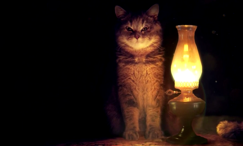 Обои свет, фон, кот, кошка, взгляд, лампа, light, background, cat, look, lamp разрешение 1920x1080 Загрузить