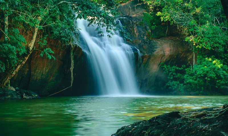 Обои река, природа, лес, водопад, river, nature, forest, waterfall разрешение 1920x1200 Загрузить