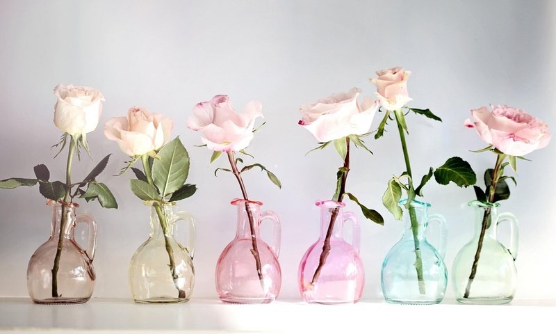 Обои цветы, розы, разноцветные, стекло, вазы, кувшины, flowers, roses, colorful, glass, vases, pitchers разрешение 2048x1319 Загрузить