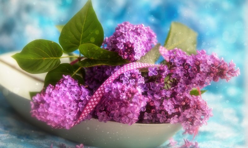 Обои цветы, ветки, лента, букетик, сирень, боке, тесьма, flowers, branches, tape, a bunch, lilac, bokeh, braid разрешение 2048x1362 Загрузить