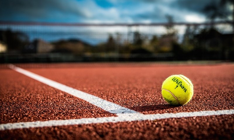 Обои спорт, мяч, теннис, теннисный мяч, sport, the ball, tennis, tennis ball разрешение 2048x1257 Загрузить
