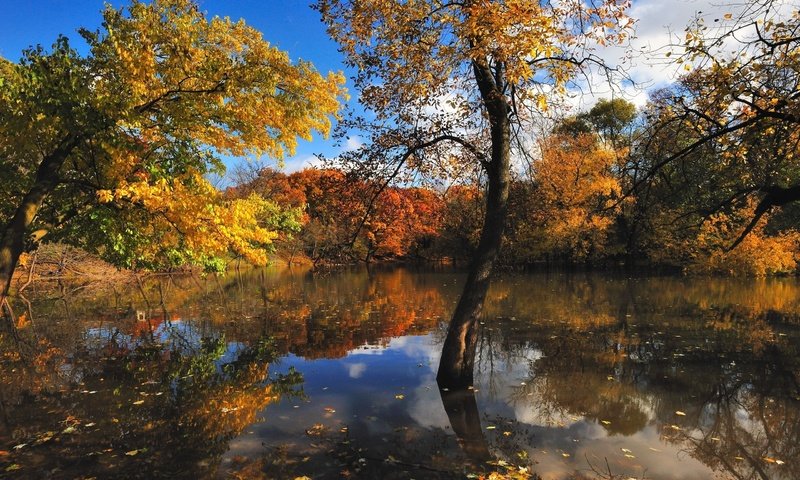 Обои вода, природа, осень, красиво, water, nature, autumn, beautiful разрешение 2560x1600 Загрузить