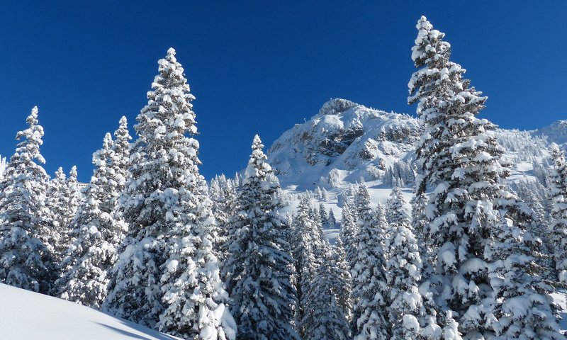 Обои горы, природа, лес, зима, mountains, nature, forest, winter разрешение 2880x1800 Загрузить