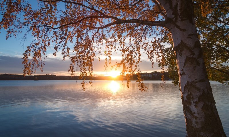 Обои озеро, природа, дерево, закат, пейзаж, осень, lake, nature, tree, sunset, landscape, autumn разрешение 2880x1800 Загрузить