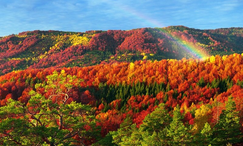 Обои горы, природа, лес, осень, радуга, карпаты, mountains, nature, forest, autumn, rainbow, carpathians разрешение 2880x1800 Загрузить