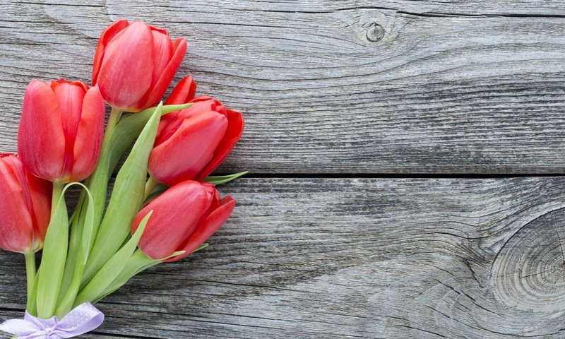 Обои цветы, букет, тюльпаны, красные тюльпаны, flowers, bouquet, tulips, red tulips разрешение 2880x1800 Загрузить