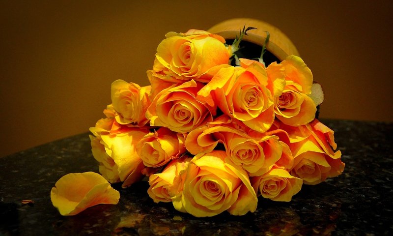 Обои цветы, розы, лепестки, букет, жёлтые розы, flowers, roses, petals, bouquet, yellow roses разрешение 2835x1853 Загрузить
