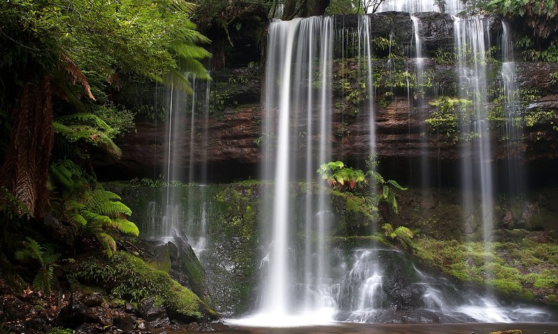 Обои водопад, австралия, тасмания, russell falls, mount field national park, waterfall, australia, tasmania разрешение 1920x1200 Загрузить