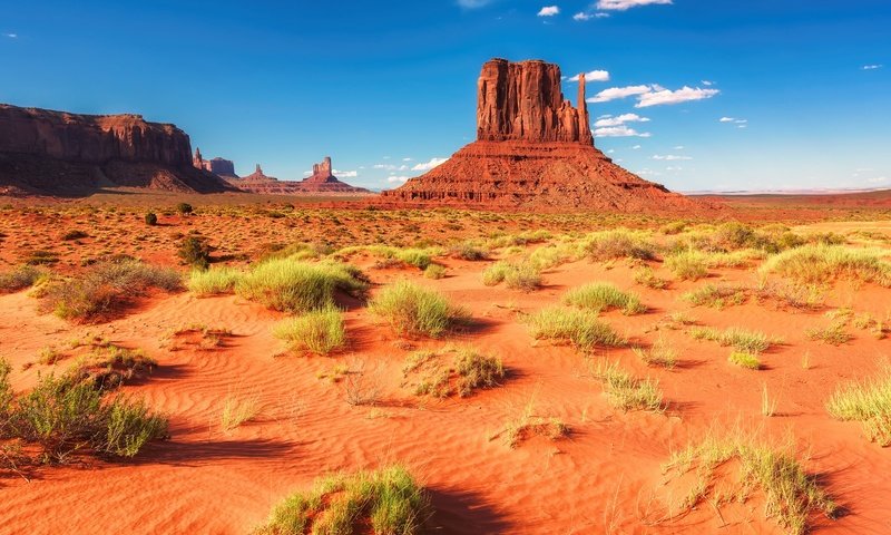 Обои трава, горы, скалы, пустыня, сша, аризона, долина монументов, grass, mountains, rocks, desert, usa, az, monument valley разрешение 1920x1282 Загрузить