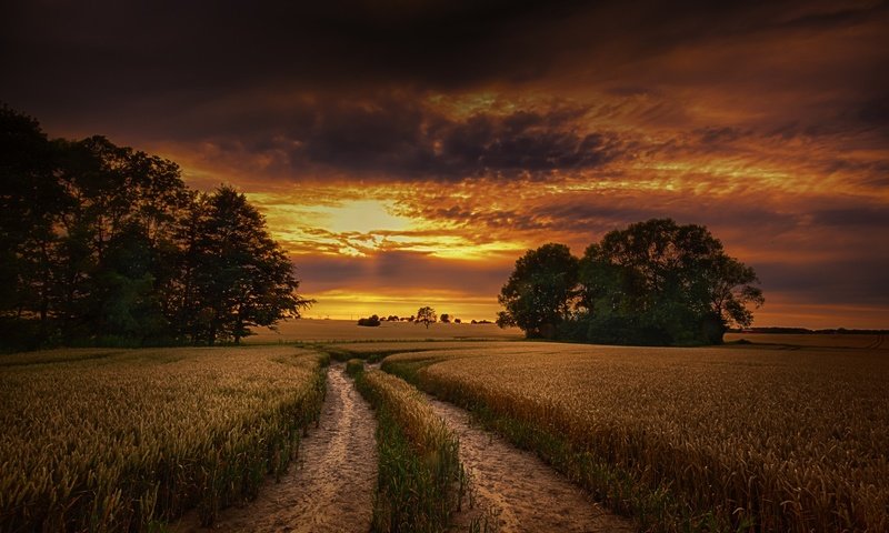 Обои небо, дорога, облака, деревья, природа, закат, поле, горизонт, the sky, road, clouds, trees, nature, sunset, field, horizon разрешение 2048x1364 Загрузить