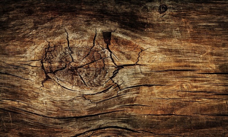 Обои дерево, текстура, доска, древесина, tree, texture, board, wood разрешение 1920x1280 Загрузить