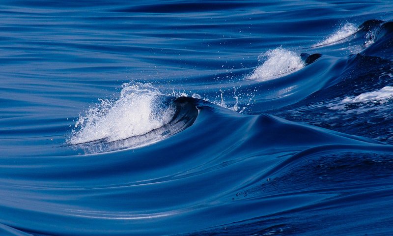 Обои вода, природа, море, волна, океан, water, nature, sea, wave, the ocean разрешение 1920x1080 Загрузить