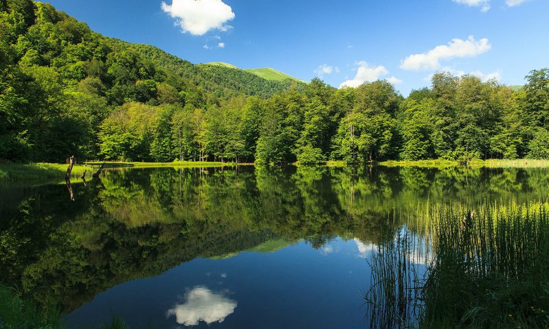 Обои небо, облака, озеро, природа, лес, отражение, the sky, clouds, lake, nature, forest, reflection разрешение 1920x1200 Загрузить