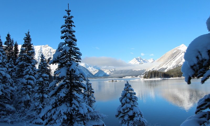 Обои небо, деревья, озеро, горы, снег, зима, ели, the sky, trees, lake, mountains, snow, winter, ate разрешение 2560x1600 Загрузить