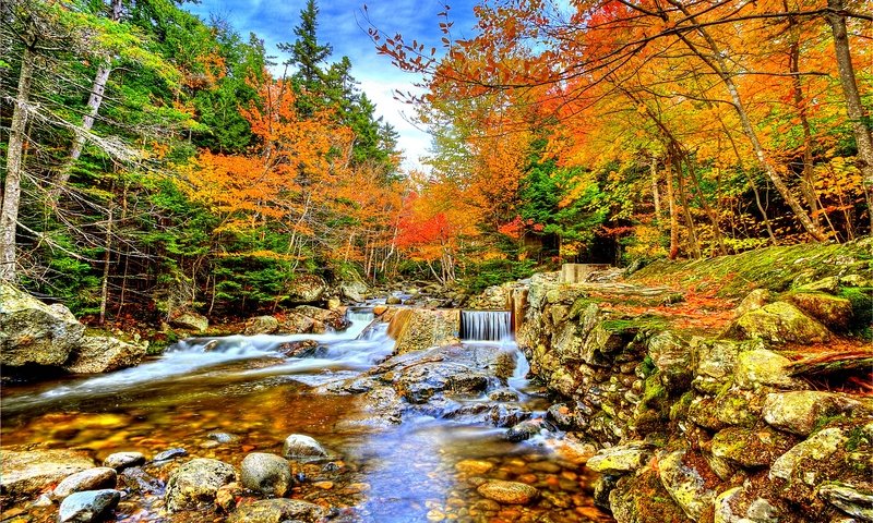 Обои небо, поток, деревья, река, камни, лес, ручей, водопад, осень, the sky, trees, river, stones, forest, stream, waterfall, autumn разрешение 5637x3754 Загрузить