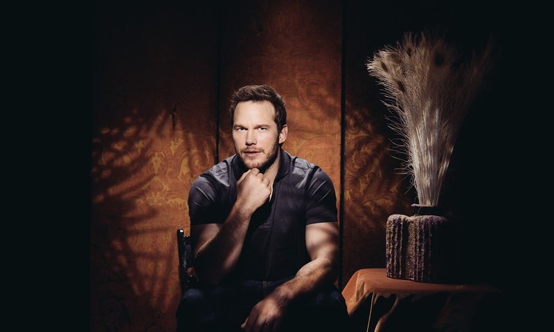 Обои взгляд, актёр, лицо, мужчина, крис прэтт, look, actor, face, male, chris pratt разрешение 2048x1536 Загрузить