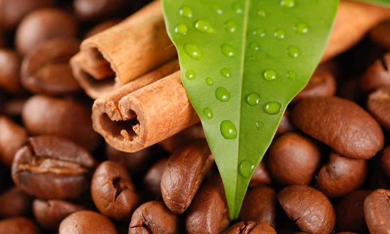 Обои капли, корица, кофе, листик, кофейные зерна, drops, cinnamon, coffee, leaf, coffee beans разрешение 1920x1080 Загрузить