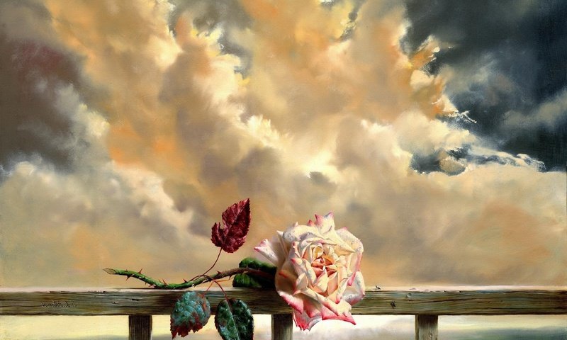 Обои небо, облака, листья, цветок, роза, лепестки, бутон, the sky, clouds, leaves, flower, rose, petals, bud разрешение 1920x1200 Загрузить