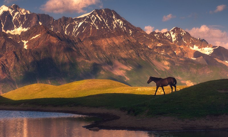 Обои лошадь, озеро, горы, природа, конь, horse, lake, mountains, nature разрешение 1942x1300 Загрузить