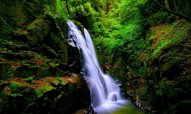 Обои камни, лес, пейзаж, скала, водопад, мох, stones, forest, landscape, rock, waterfall, moss разрешение 3000x2000 Загрузить