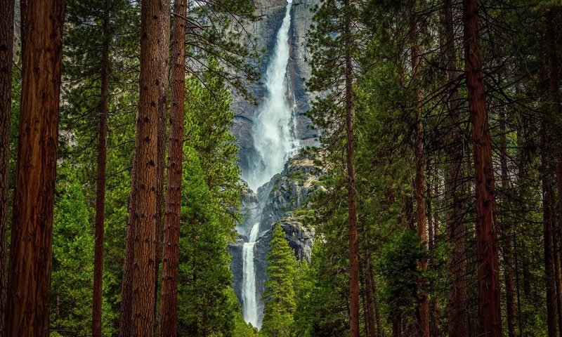 Обои деревья, лес, скала, гора, водопад, йосемите, trees, forest, rock, mountain, waterfall, yosemite разрешение 2048x1290 Загрузить