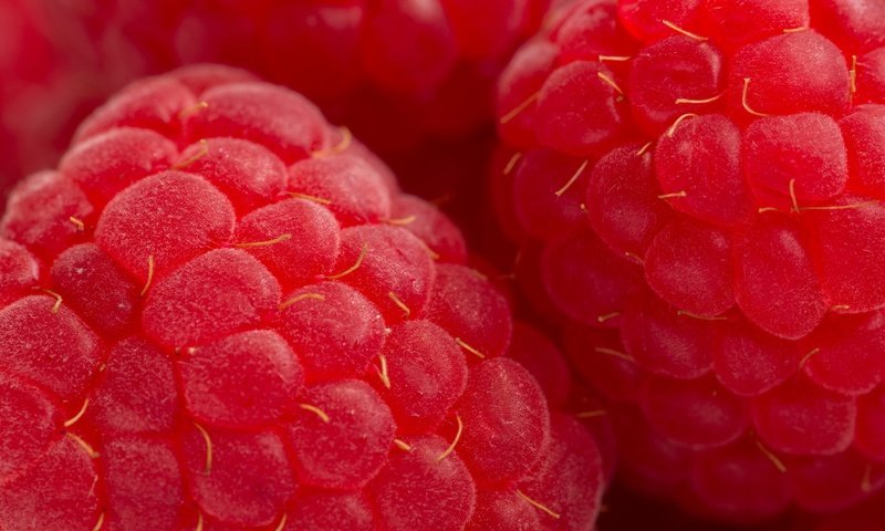 Обои макро, малина, ягода, красная, macro, raspberry, berry, red разрешение 1920x1300 Загрузить