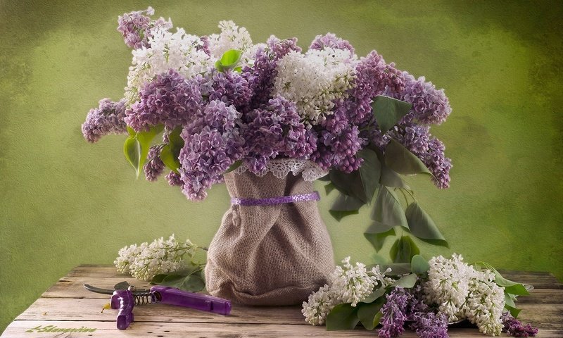 Обои цветы, природа, букет, сирень, натюрморт, мешковина, flowers, nature, bouquet, lilac, still life, burlap разрешение 2000x1333 Загрузить