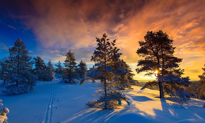 Обои небо, норвегия, облака, деревья, солнце, природа, лес, закат, зима, the sky, norway, clouds, trees, the sun, nature, forest, sunset, winter разрешение 1920x1080 Загрузить