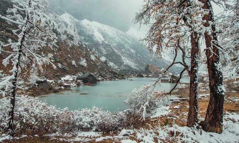 Обои река, горы, снег, природа, зима, россия, алтай, vladimir lipetskih, river, mountains, snow, nature, winter, russia, altay разрешение 1920x1147 Загрузить