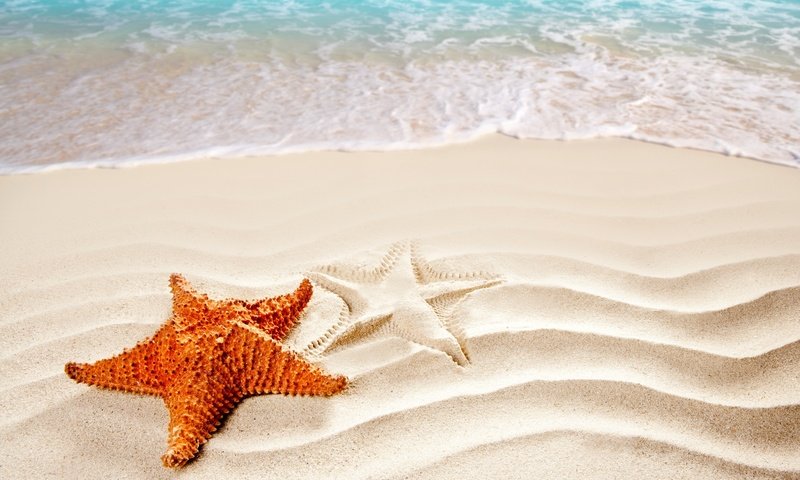 Обои волны, море, песок, пляж, морская звезда, wave, sea, sand, beach, starfish разрешение 4914x3368 Загрузить
