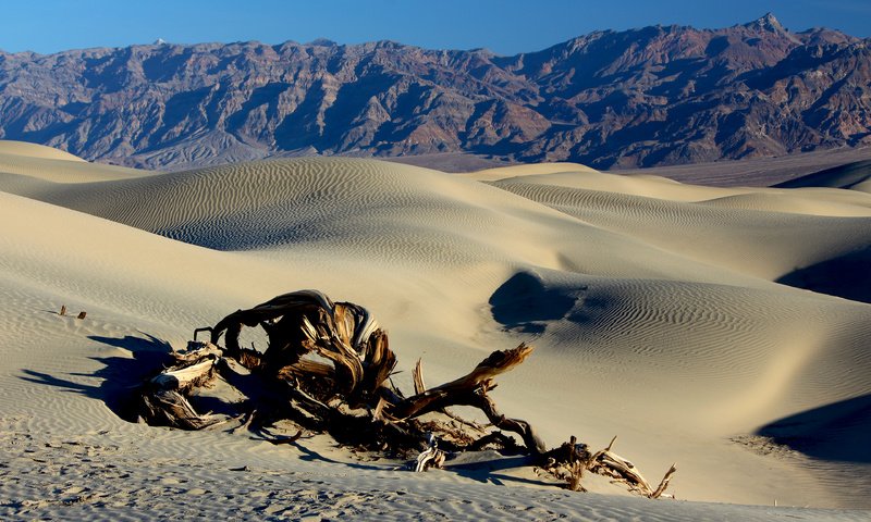 Обои горы, пейзаж, песок, пустыня, коряга, дюны, mountains, landscape, sand, desert, snag, dunes разрешение 3840x2400 Загрузить