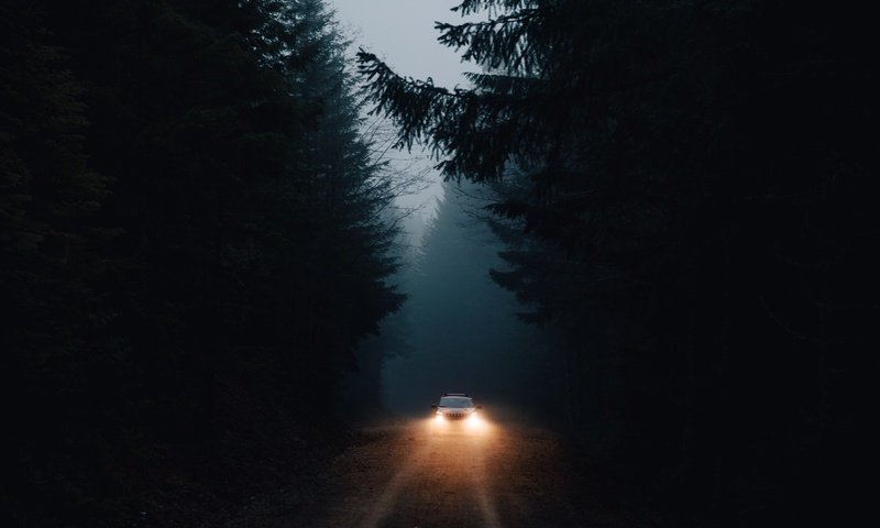 Обои свет, дорога, лес, машина, темнота, фары, light, road, forest, machine, darkness, lights разрешение 2048x1365 Загрузить