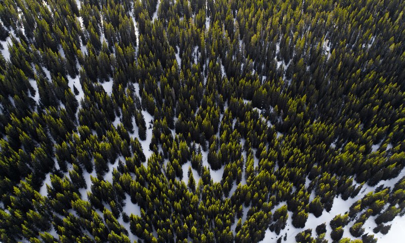 Обои деревья, снег, лес, вид сверху, trees, snow, forest, the view from the top разрешение 5464x3640 Загрузить