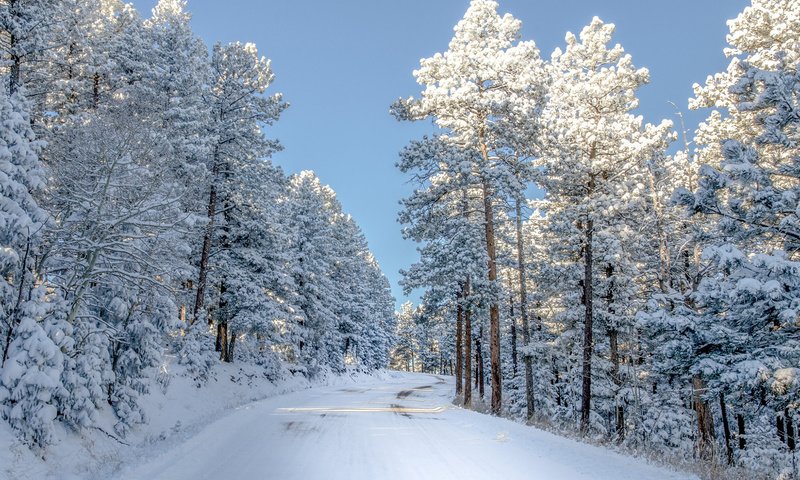 Обои небо, дорога, снег, природа, зима, сша, колорадо,     деревья, the sky, road, snow, nature, winter, usa, colorado, trees разрешение 2000x1379 Загрузить