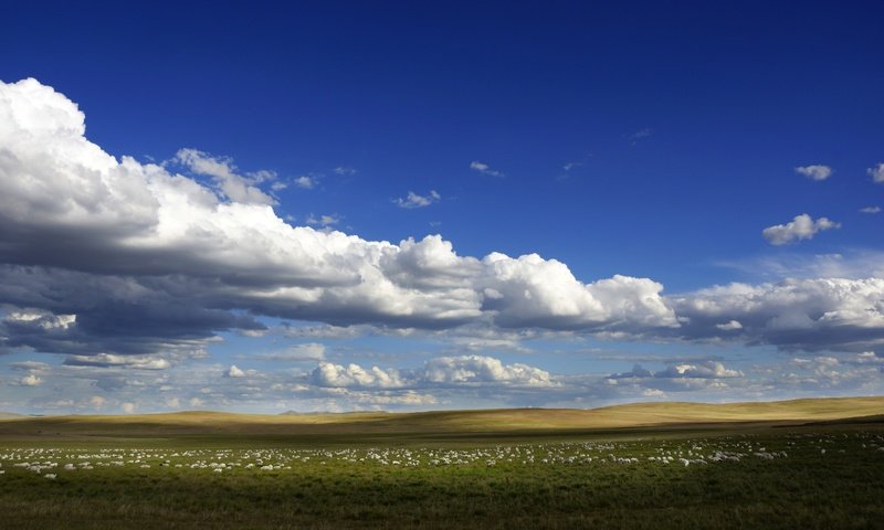 Обои небо, облака, поле, горизонт, голубое небо, the sky, clouds, field, horizon, blue sky разрешение 6000x3375 Загрузить